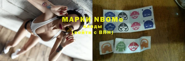 прущие грибы Бородино