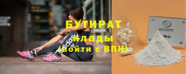 прущие грибы Бородино