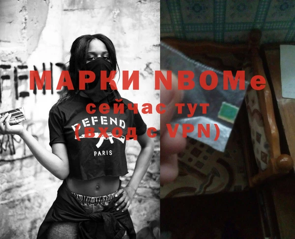 прущие грибы Бородино