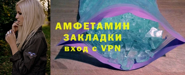 прущие грибы Бородино
