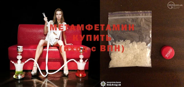 прущие грибы Бородино