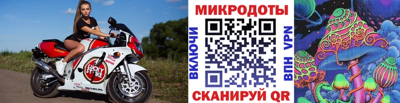 купить наркотик  Кудрово  Псилоцибиновые грибы Psilocybe 
