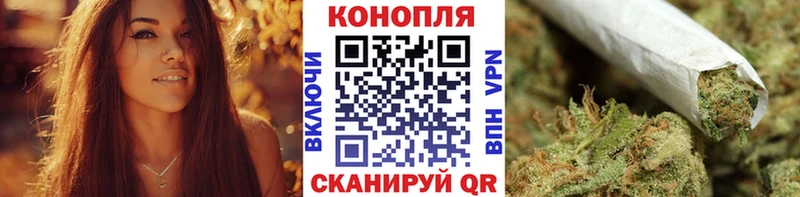 ссылка на мегу зеркало Кудрово Конопля сатива